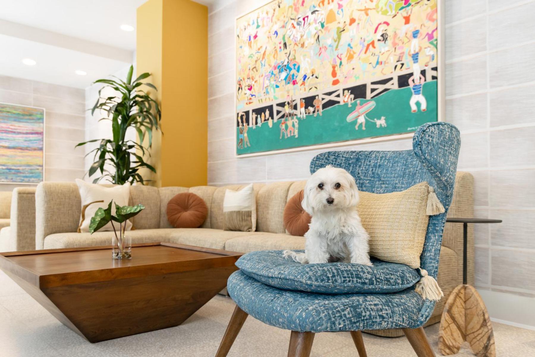 Hotel Continental Miami Beach, Tapestry Collection By Hilton Kültér fotó